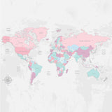 Papel de Parede com Mapa Mundi Rosa, Cinza e Verde STIXX