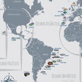 Papel de Parede com Mapa Mundi STADIUM