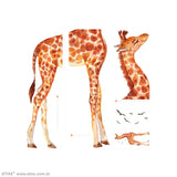 Montagem do Adesivo de Girafa